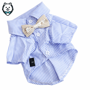 chemise pour chien spitz bleu et blanc à rayures