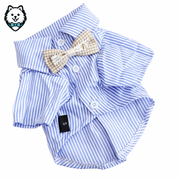 chemise pour chien spitz bleu et blanc à rayures