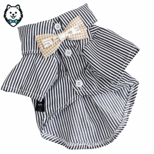 chemise pour chien spitz blanc et noir à rayures