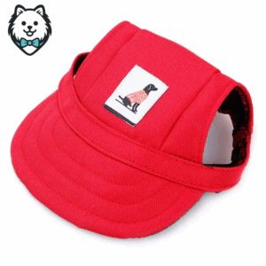 casquette pour chien spitz avec sangle de cou