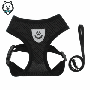 Harnais + Laisse pour chien Spitz respirant et réfléchissant