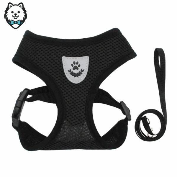Harnais + Laisse pour chien Spitz respirant et réfléchissant