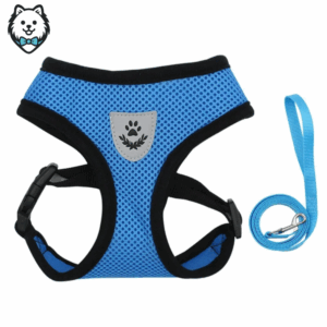 Harnais + Laisse pour chien Spitz respirant et réfléchissant