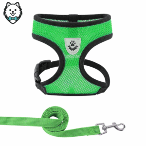 harnais + laisse pour chien spitz respirant et réfléchissant