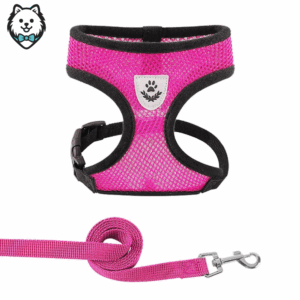 harnais + laisse pour chien spitz respirant et réfléchissant