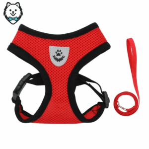 harnais + laisse pour chien spitz respirant et réfléchissant