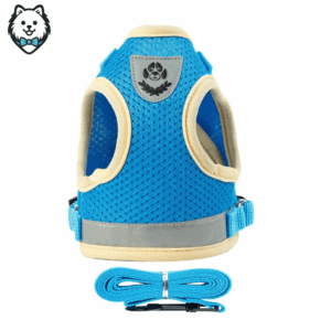 harnais + laisse pour chien spitz