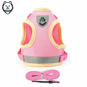 harnais + laisse pour chien spitz