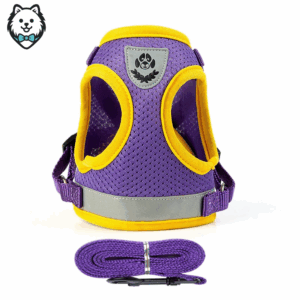 Harnais + Laisse pour chien Spitz