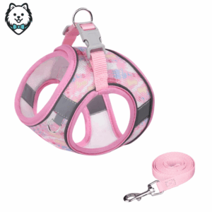 harnais + laisse pour chien spitz réfléchissant