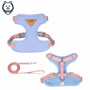 harnais + laisse pour chien spitz