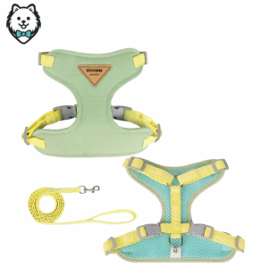 harnais + laisse pour chien spitz