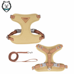 harnais + laisse pour chien spitz