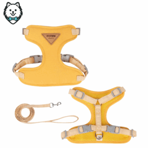 harnais + laisse pour chien spitz