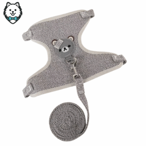 harnais + laisse pour chien spitz