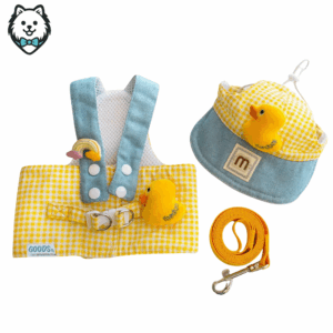 harnais + laisse + casquette pour chien spitz ultra original