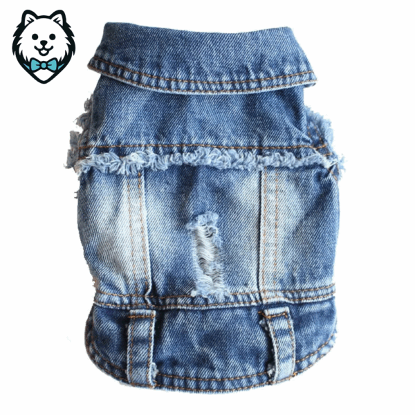 Veste & blouson en jean pour chien Spitz