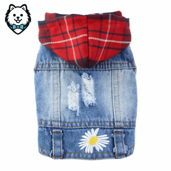 Veste & blouson en jean pour chien Spitz