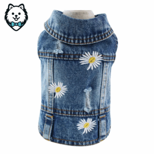 Veste & blouson en jean pour chien Spitz