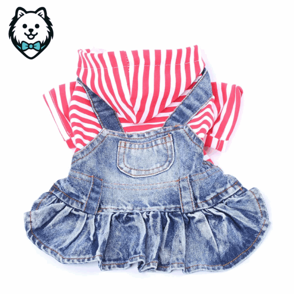 Robe en jean pour chien spitz avec rayure ultra tendance